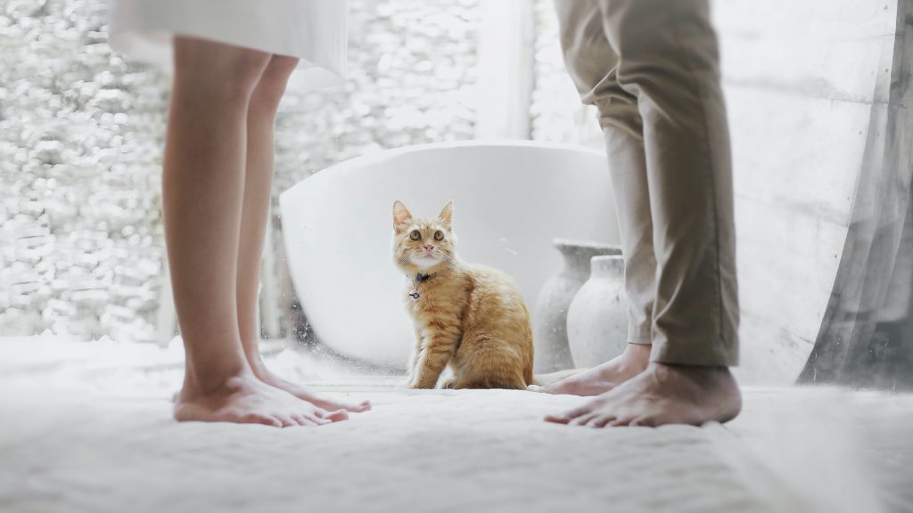 Divorce Coaching Atlanta GA
