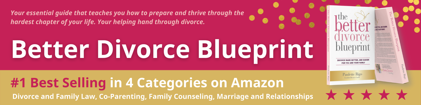 the Better divorce blueprint book