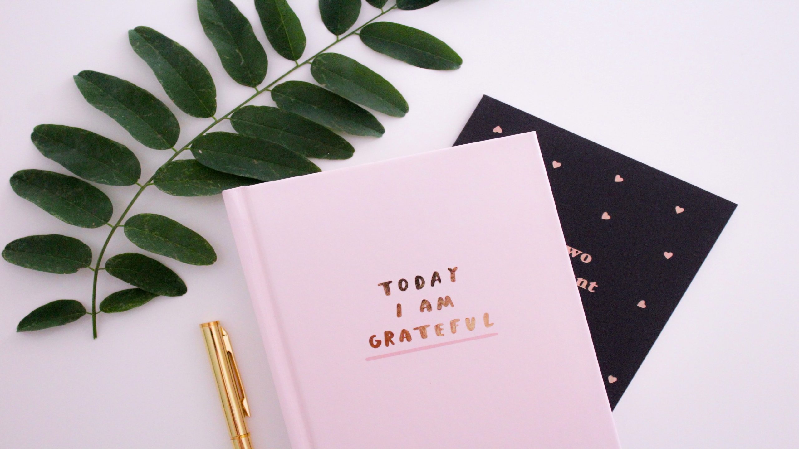 gabrielle-henderson-M4lve6jR26E-unsplash gabrielle-henderson-M4lve6jR26E-unsplash